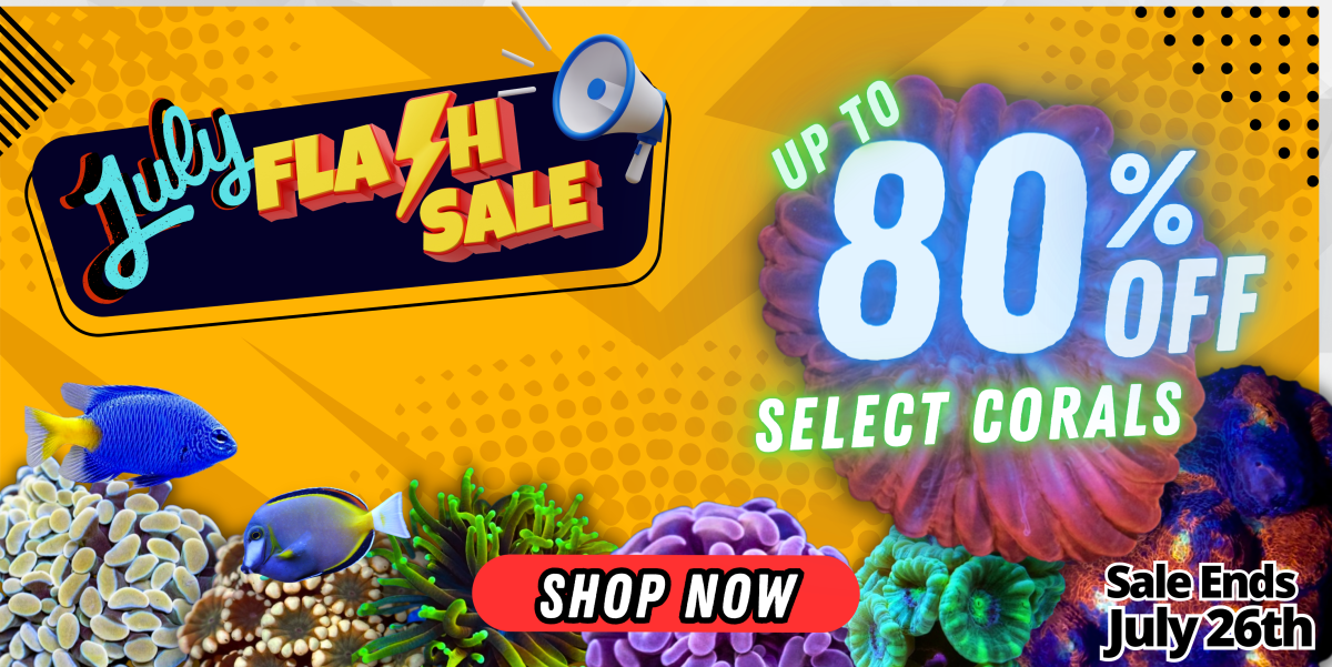 7.20.23 July Flash Sale.png