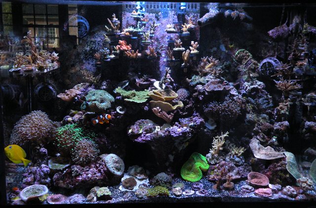 70 Gal2.jpg