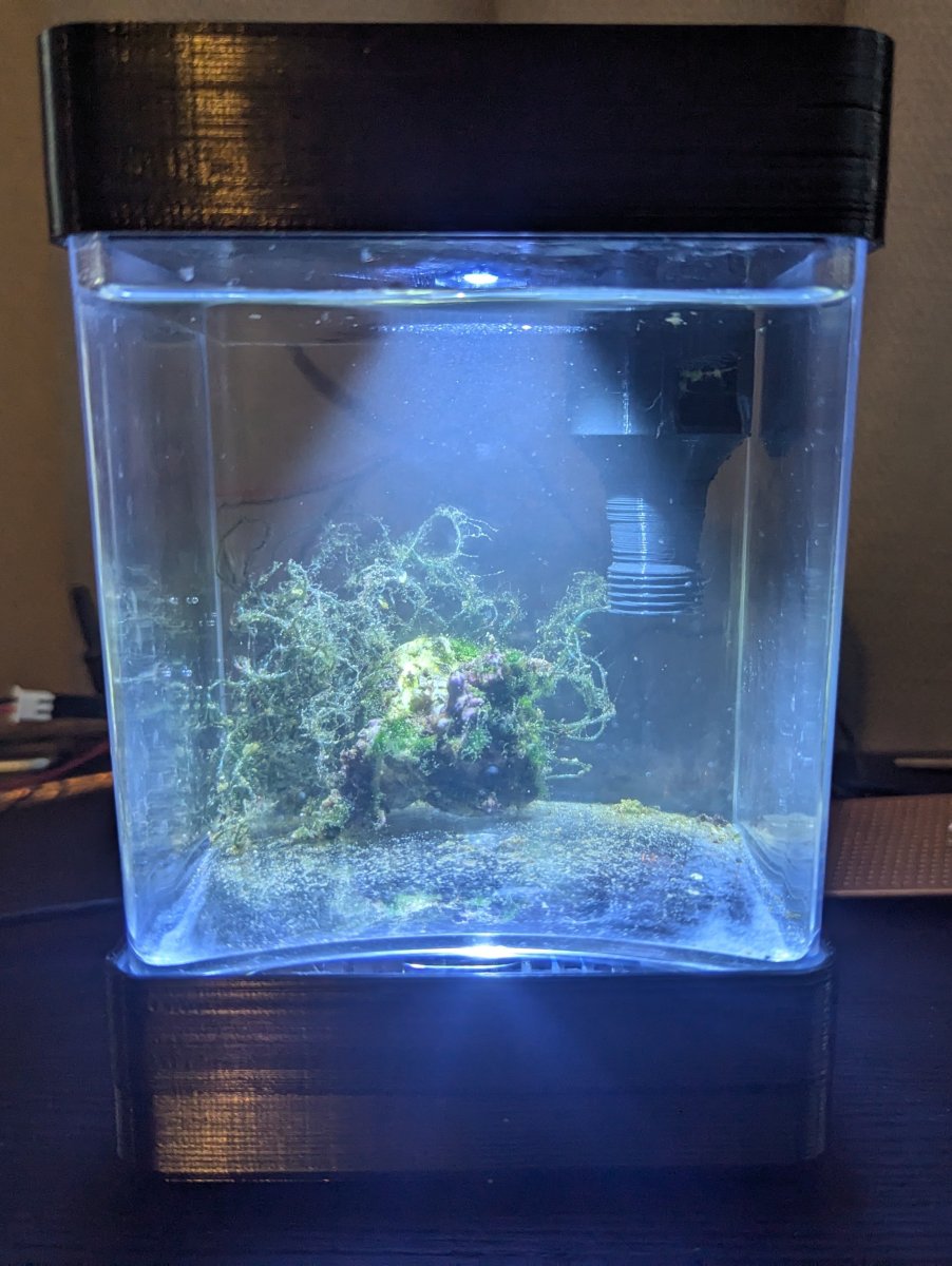 700ml Aquarium.jpeg