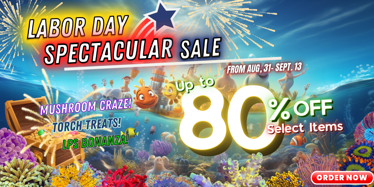 8.31.23 Labor Day Spectacular Sale Website Banner.png