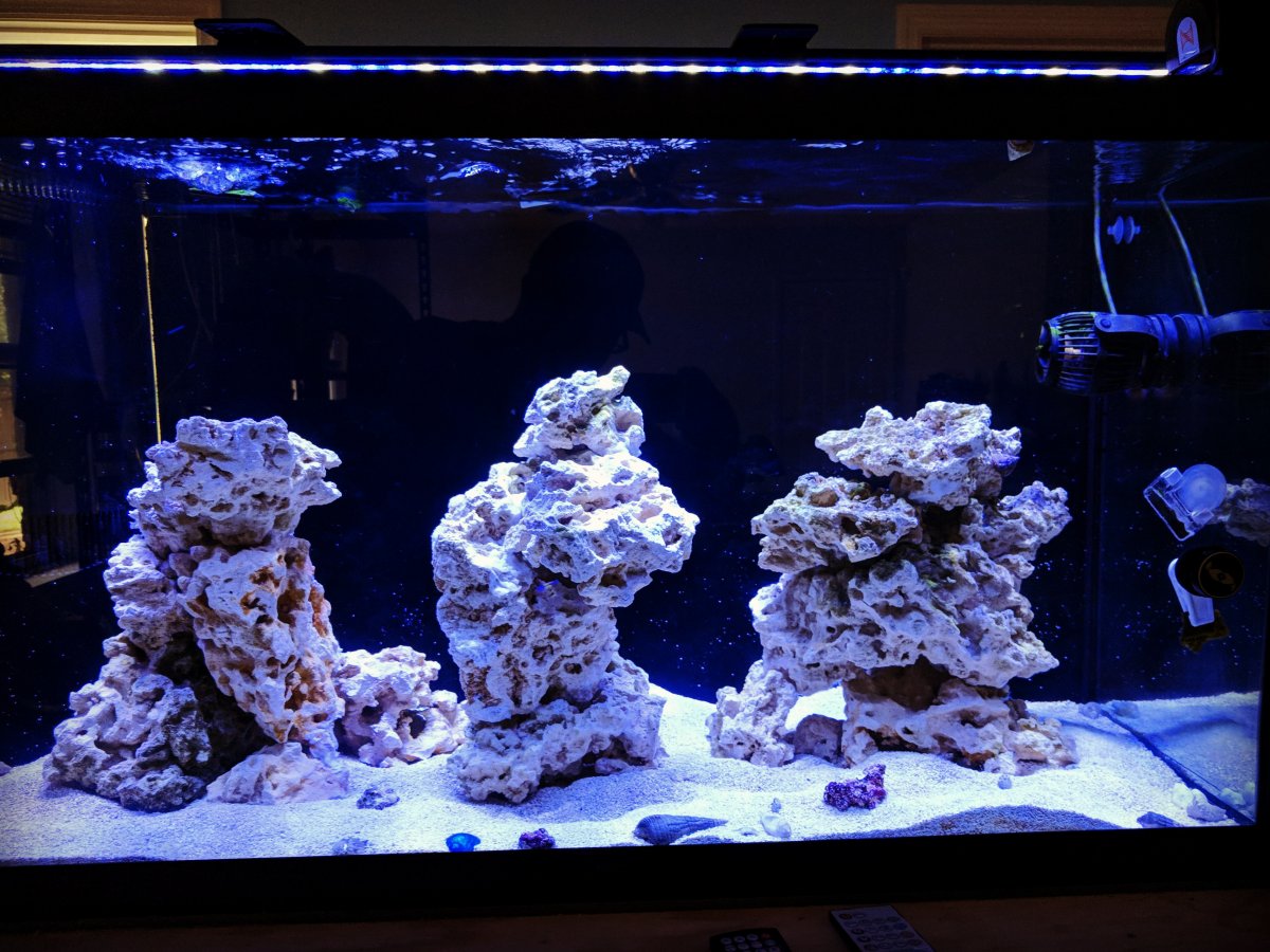 90 gal tank with rocks.jpg