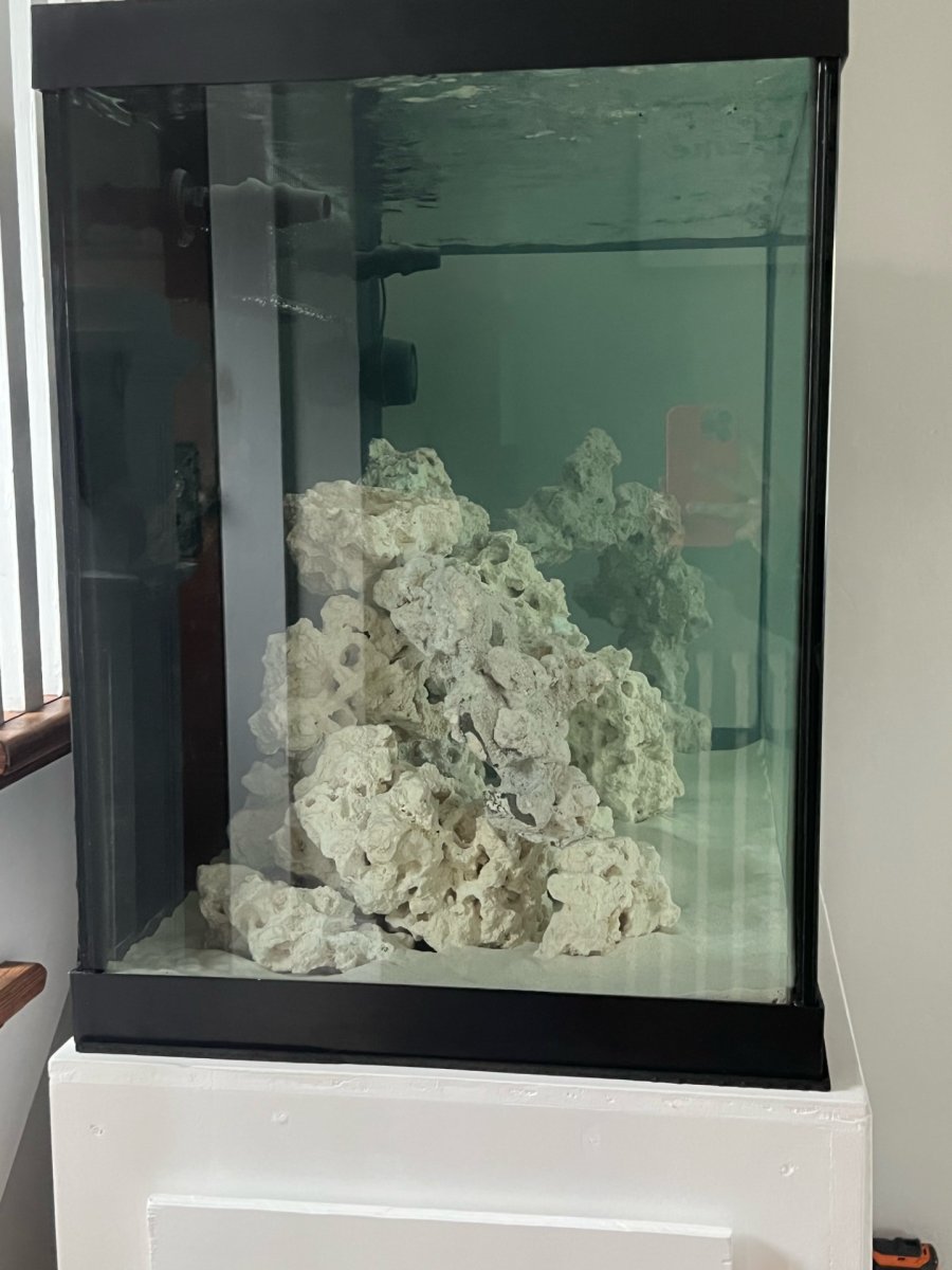 90 gallon tank.jpg