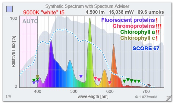 9000kt5.JPG