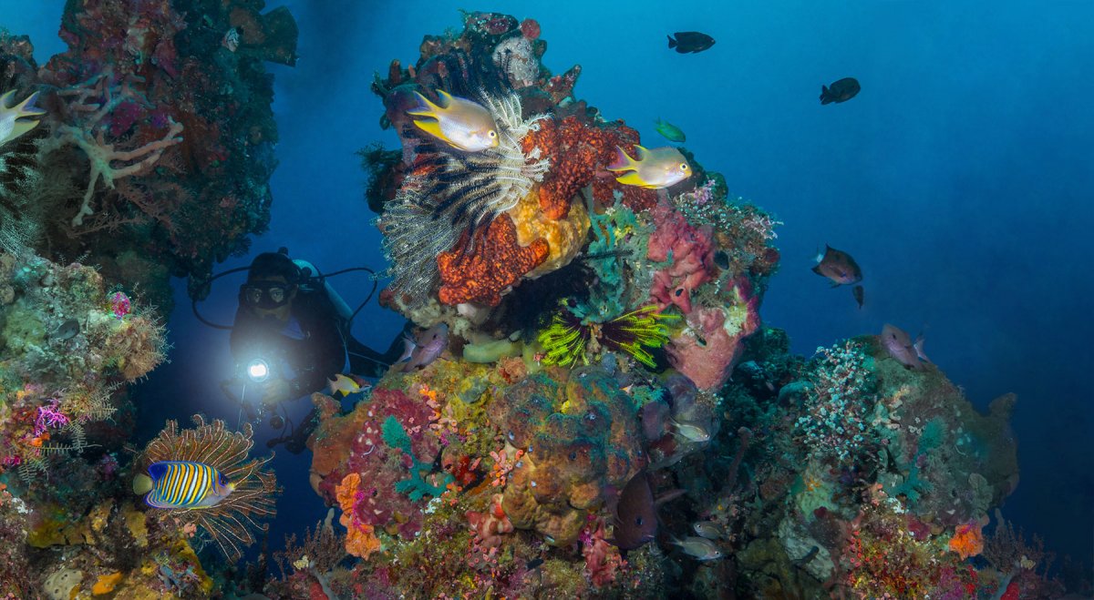 __Bunaken-Divers-Slider-4y-Diver-Marine-Park.jpg