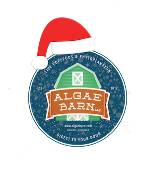 AB Christmas LOGO copy 2.png