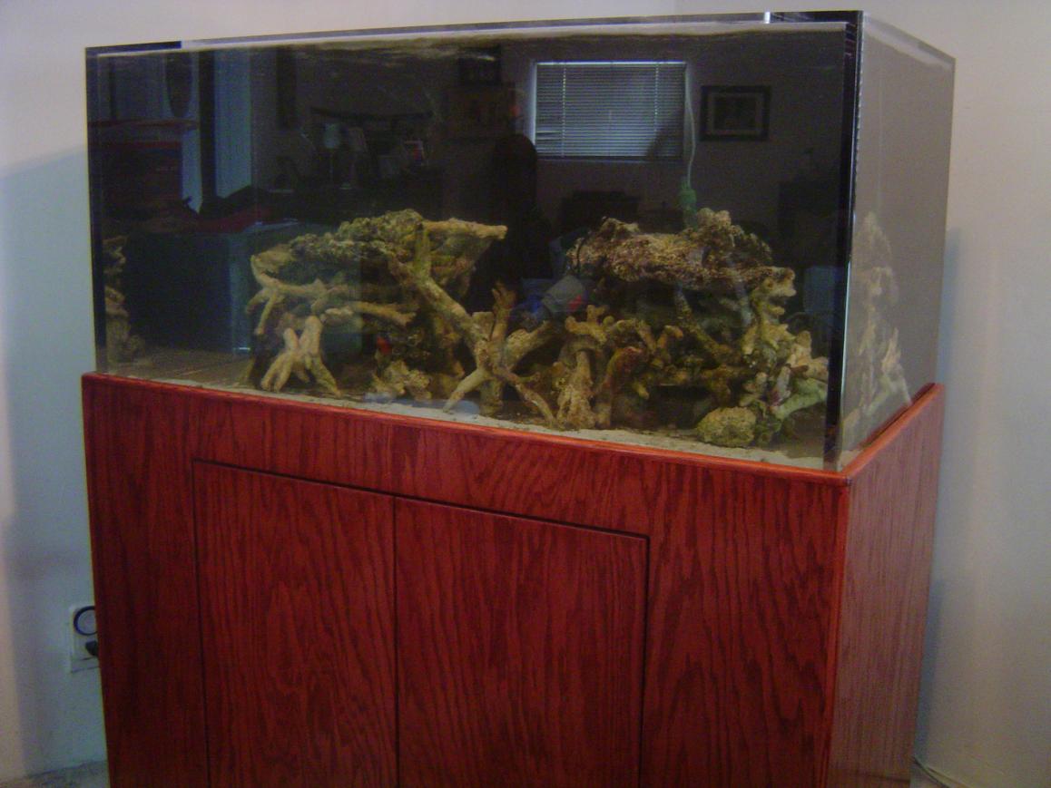 acrylic.tank.sump 008.jpg