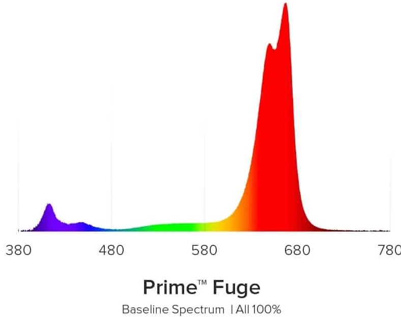 aiprimefuge16spectrum copia.jpg