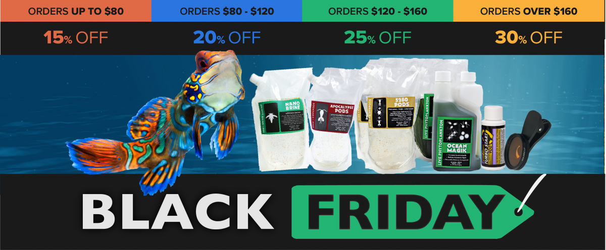 Algae Barn Black Friday Cover Photo Live Sale.png