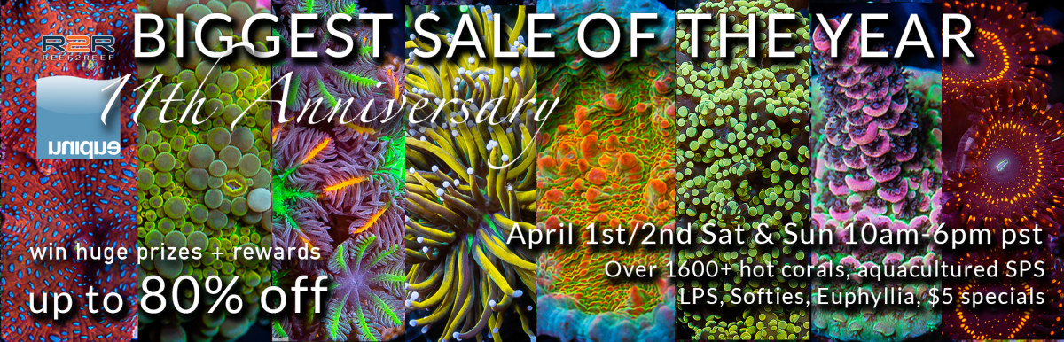 Anniversary-sale-april1-2023-R2R.png