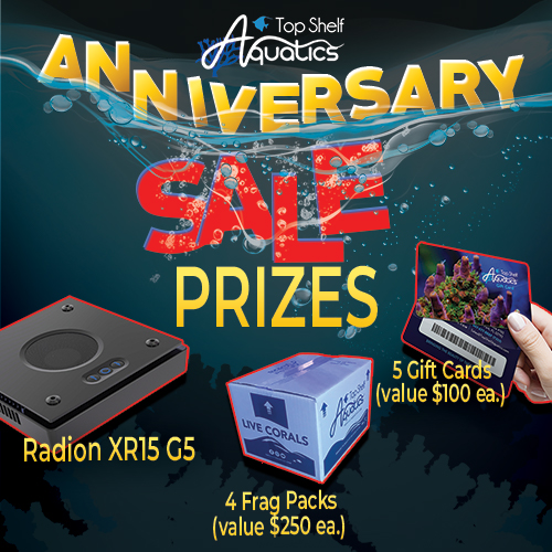 ANNIVERSARYSALE_PRIZES_500x500.jpg