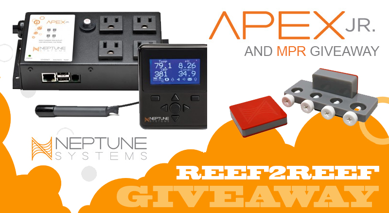 APEX JR GIVEAWAY.jpg