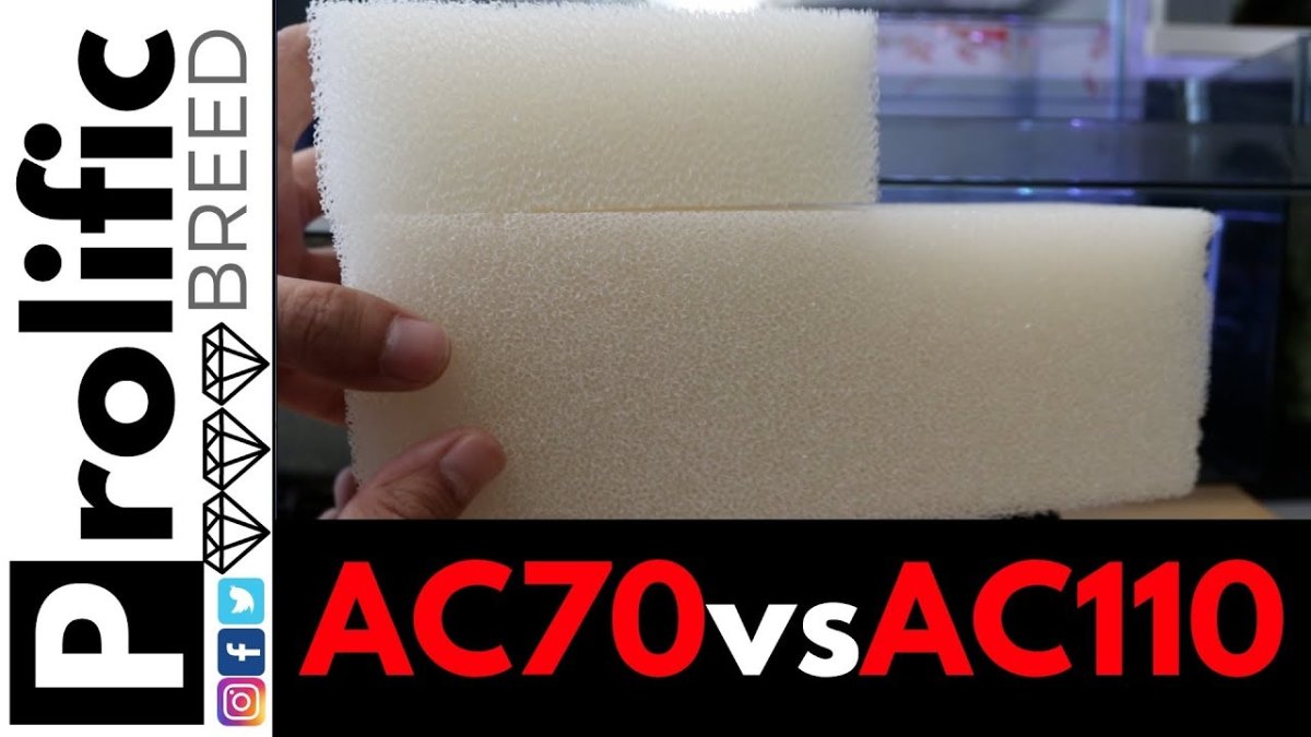 AquaClear Sponge Comparion.jpg