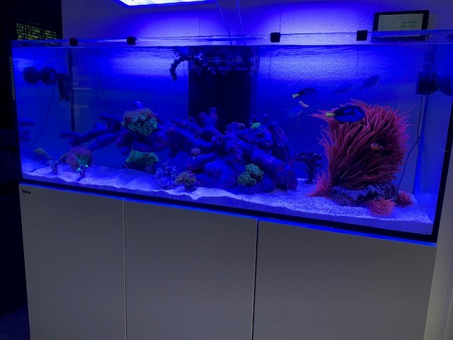 aquarium 2.jpg