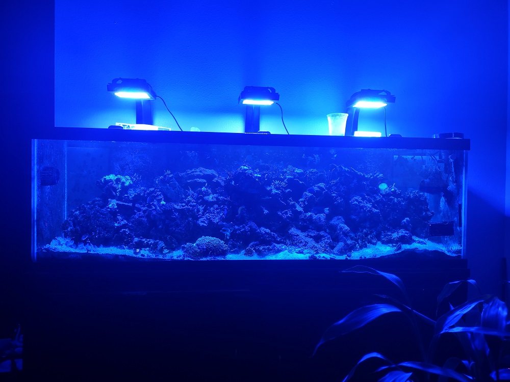 aquarium update 2.jpg