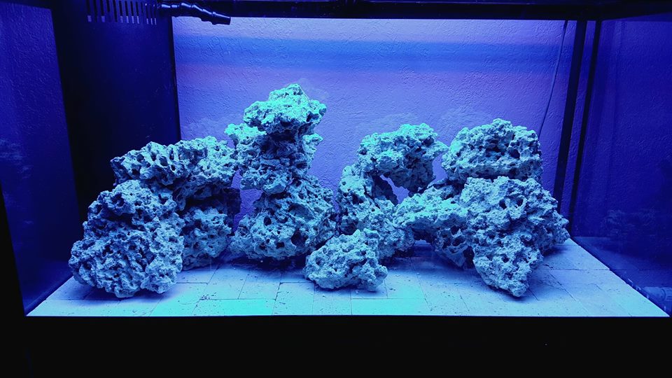 aquascape 90.jpg