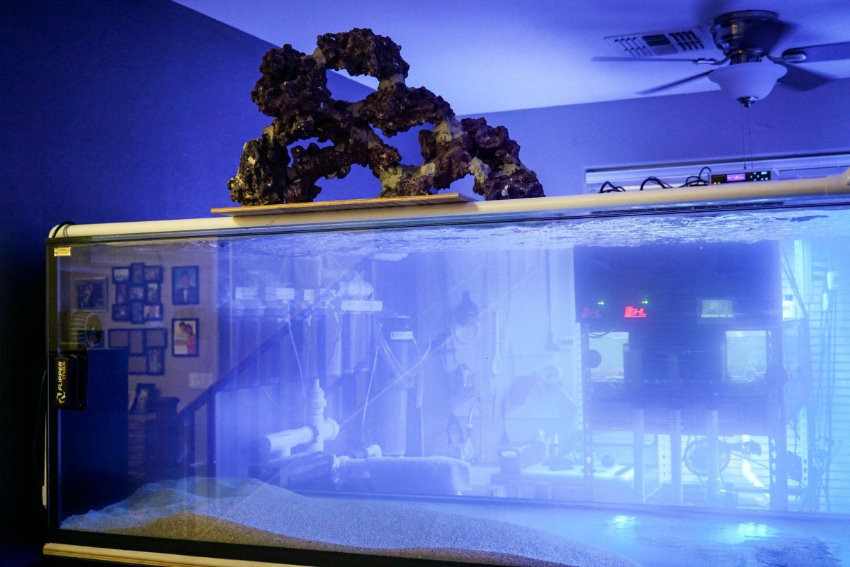 Aquascape going in-2.jpg