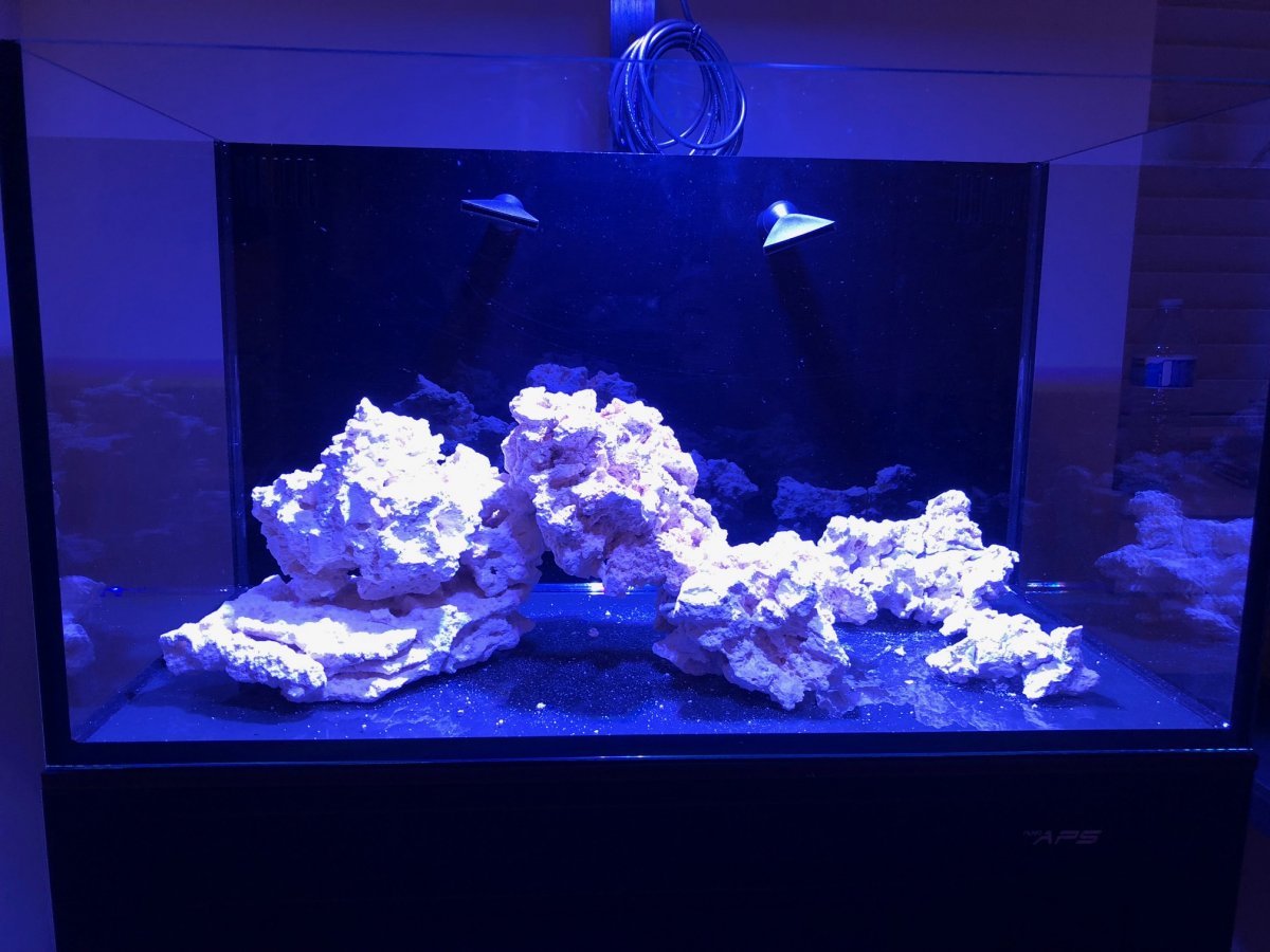 Aquascape with Lights (1).jpg