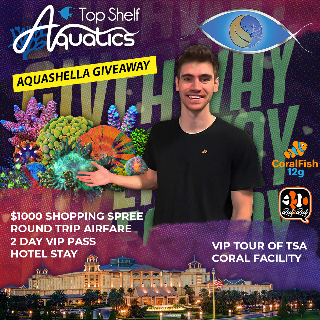 Aquashella_Giveaway.jpeg