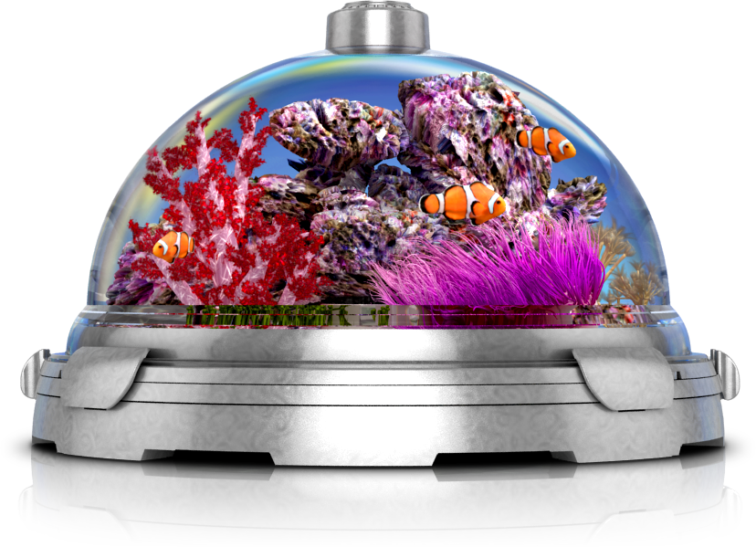 aquatic_toh_reef[1].png