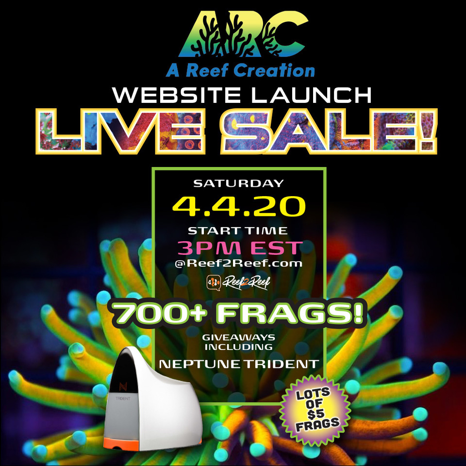 ARC-LiveSale-1024x1024.jpg