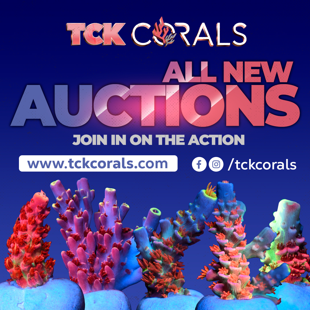  AUCTIONS Social Media Post Square 1080 x 1080.jpg