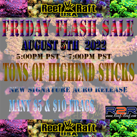 August 5th friday sale.jpg