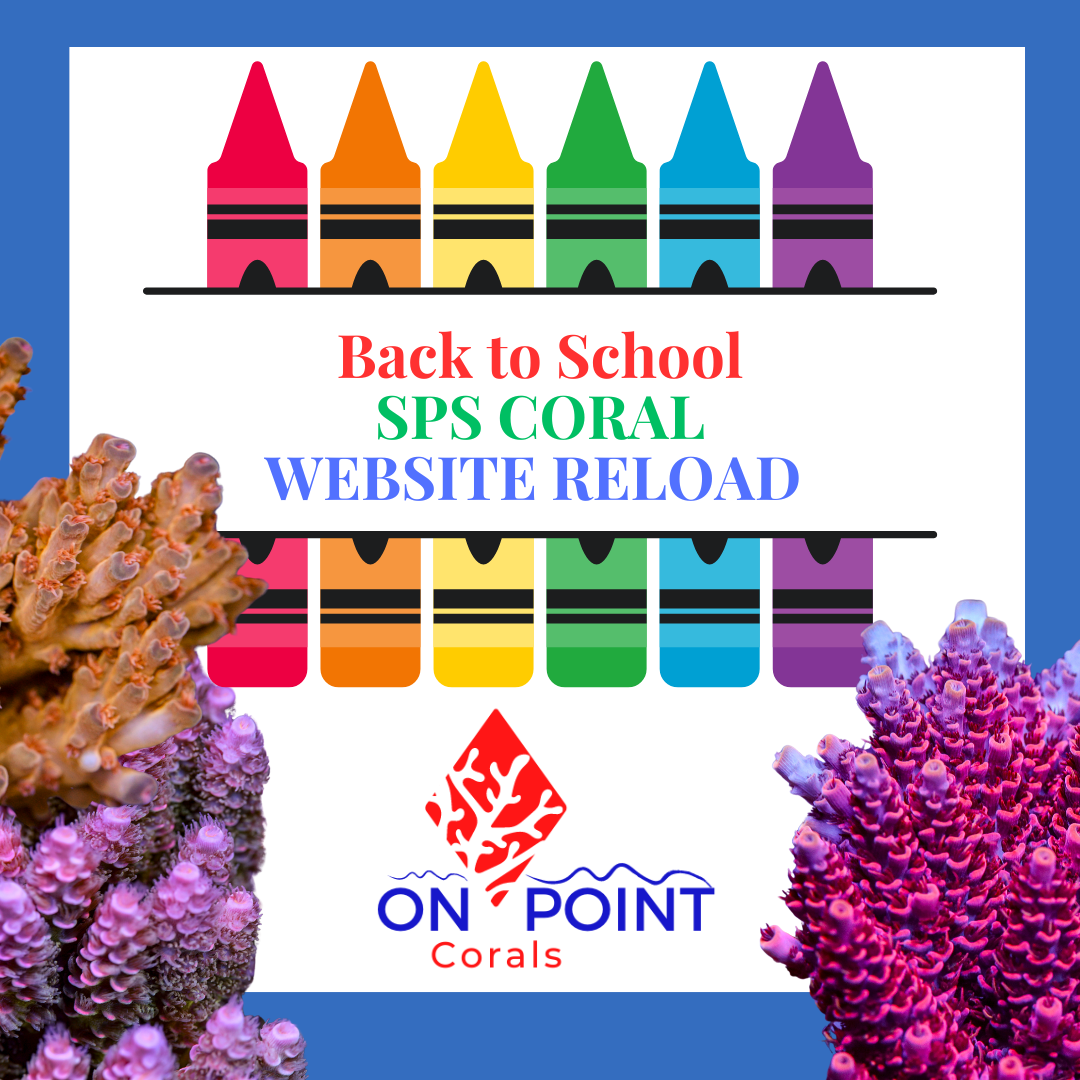 Back to School SPS CORAL WEBSITE RELOAD.png