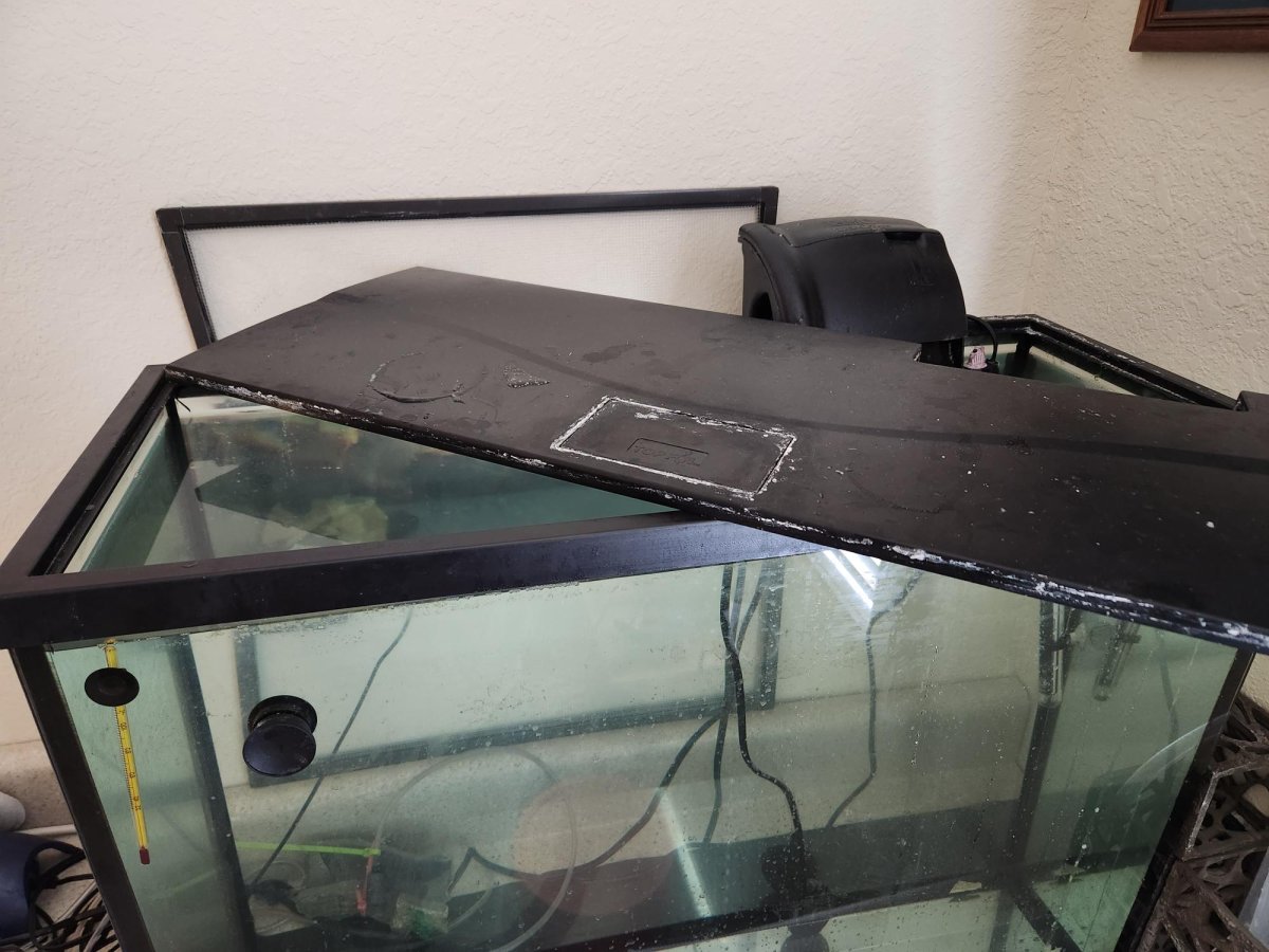 Bad Tank Lid.jpg