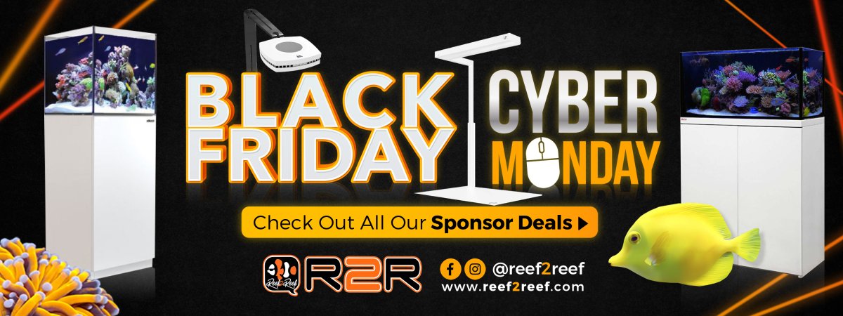 banner reef2reef black friday 3200 x 1200.jpg