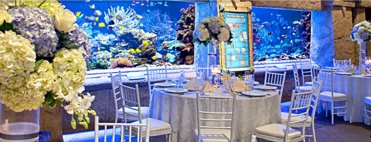 Banquet_Reef01.JPG