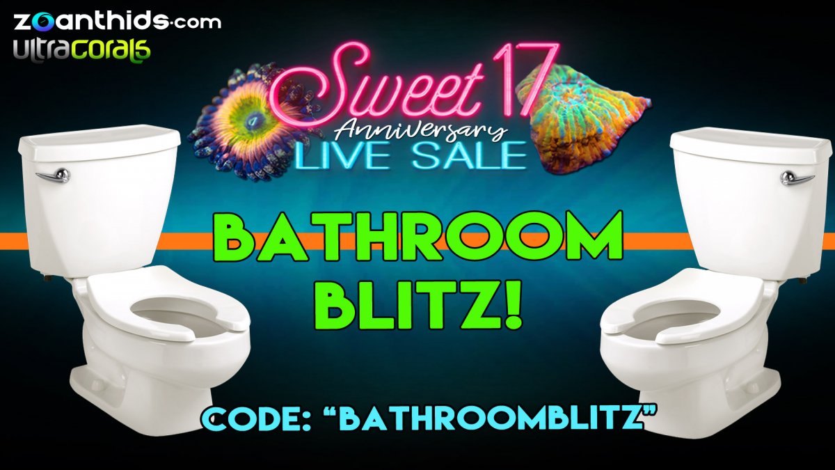 Bathroom-Blitz.jpg