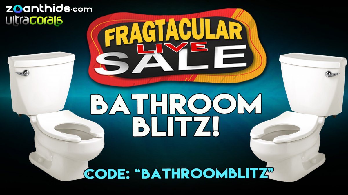 Bathroom-Blitz.jpg