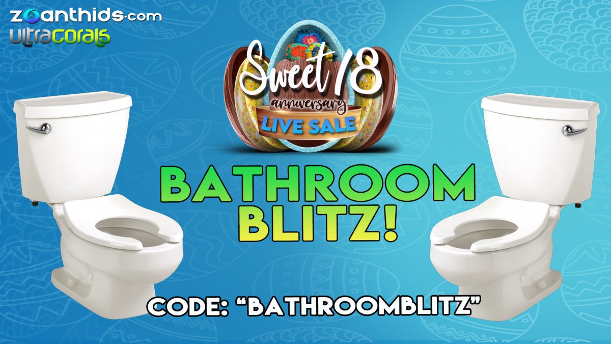 Bathroom-Blitz.jpg