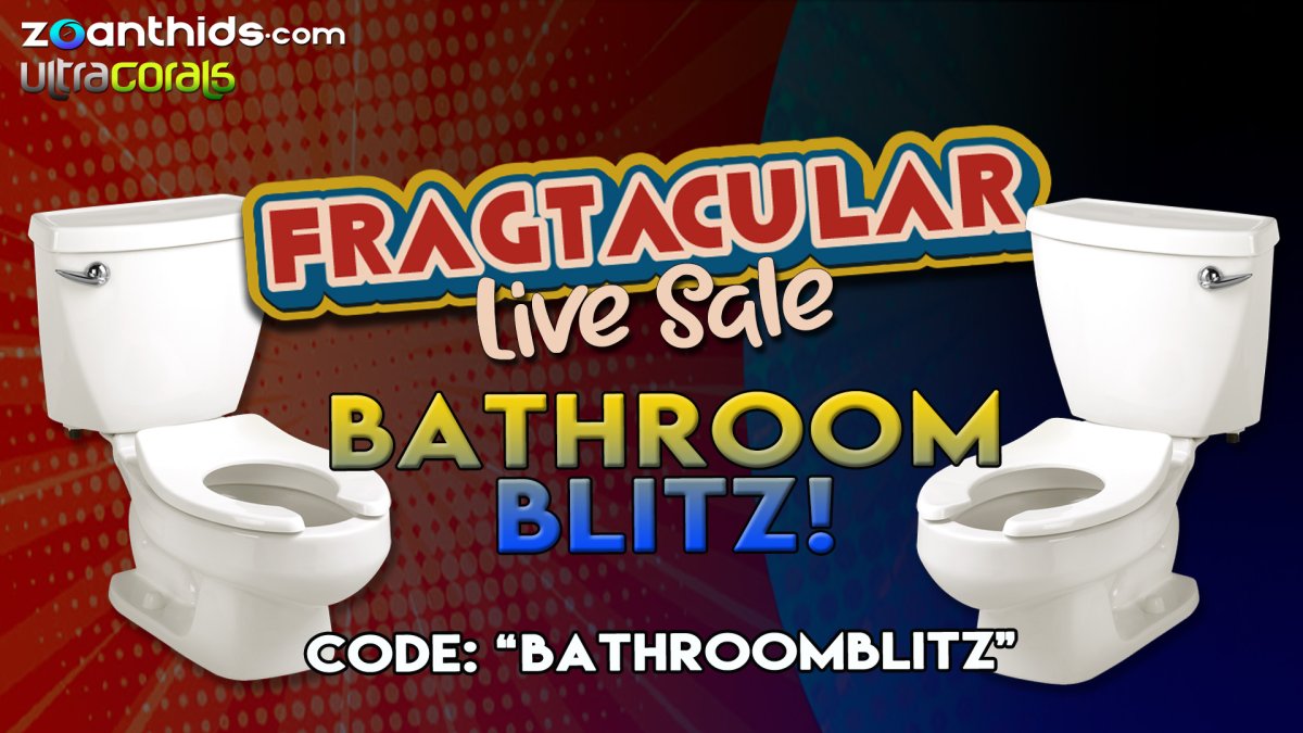 Bathroom-Blitz.jpg