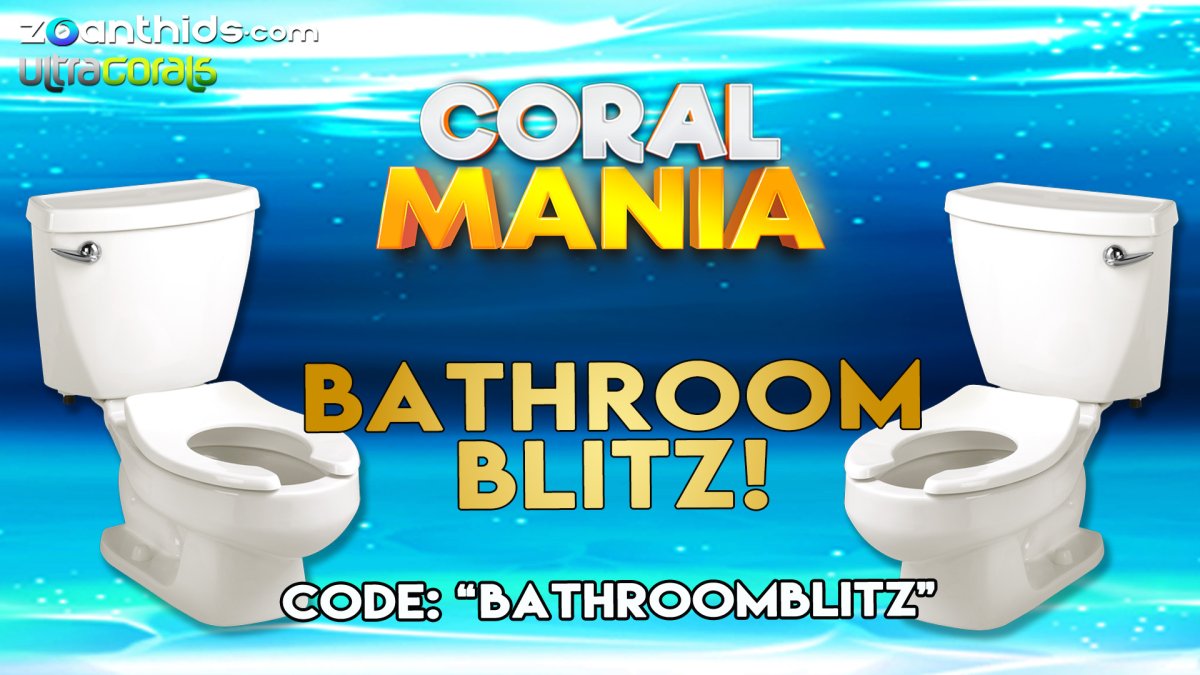 Bathroom-Blitz.jpg