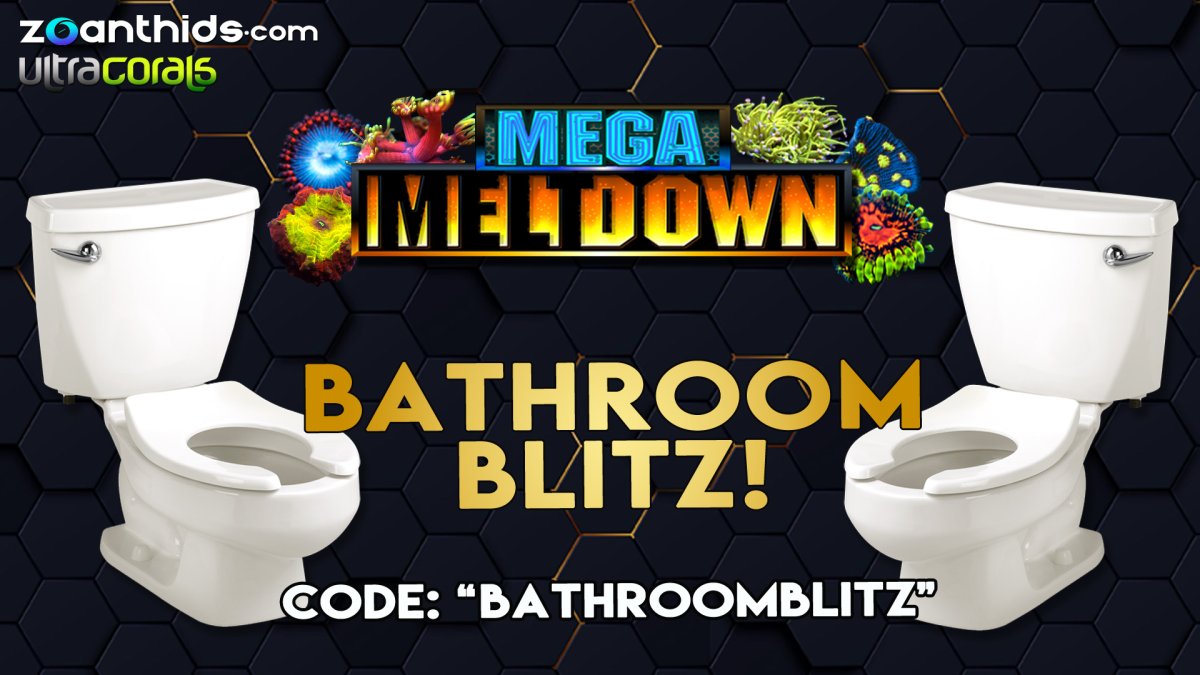 Bathroom-Blitz.jpg