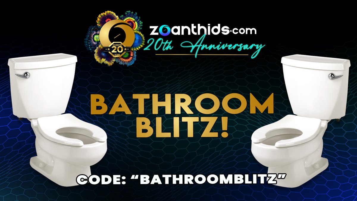 Bathroom-Blitz.jpg