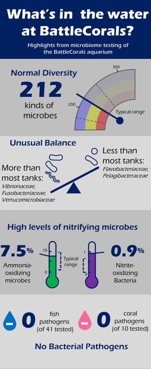 bc infographic.jpg