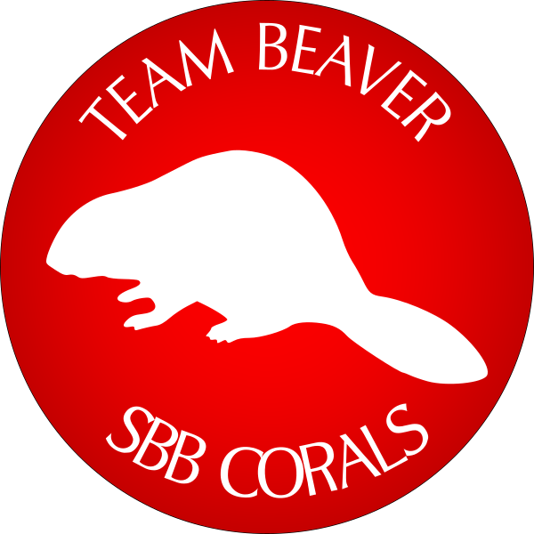 BEAVER2.png