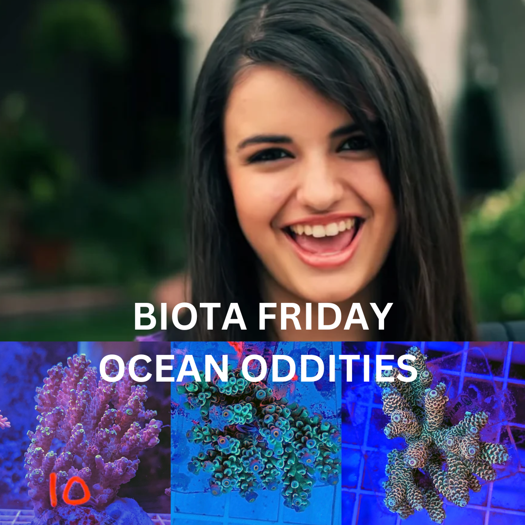 BIOTA FRIDAY OCEAN ODDITIES.png