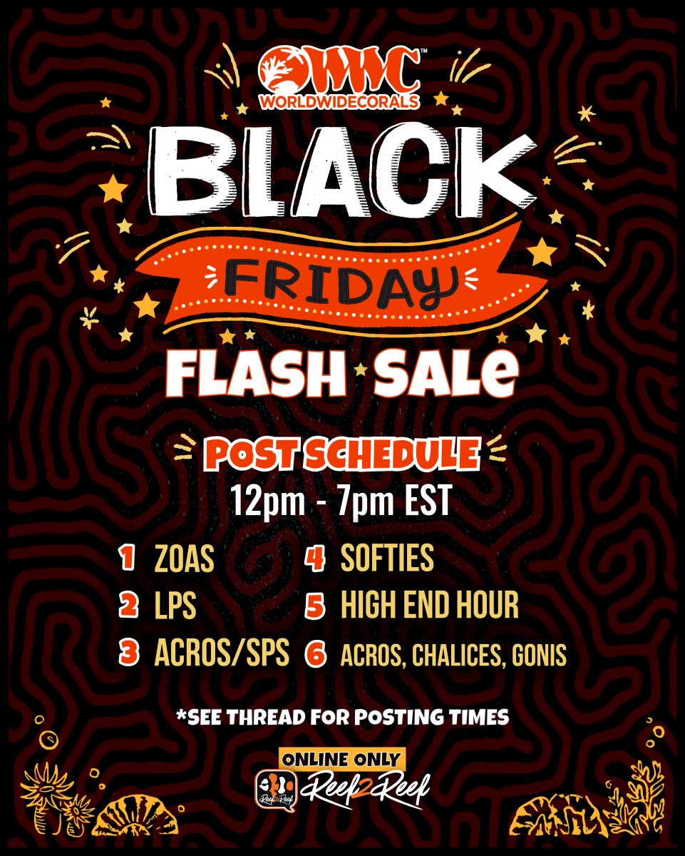 black friday flash sale (2).jpg