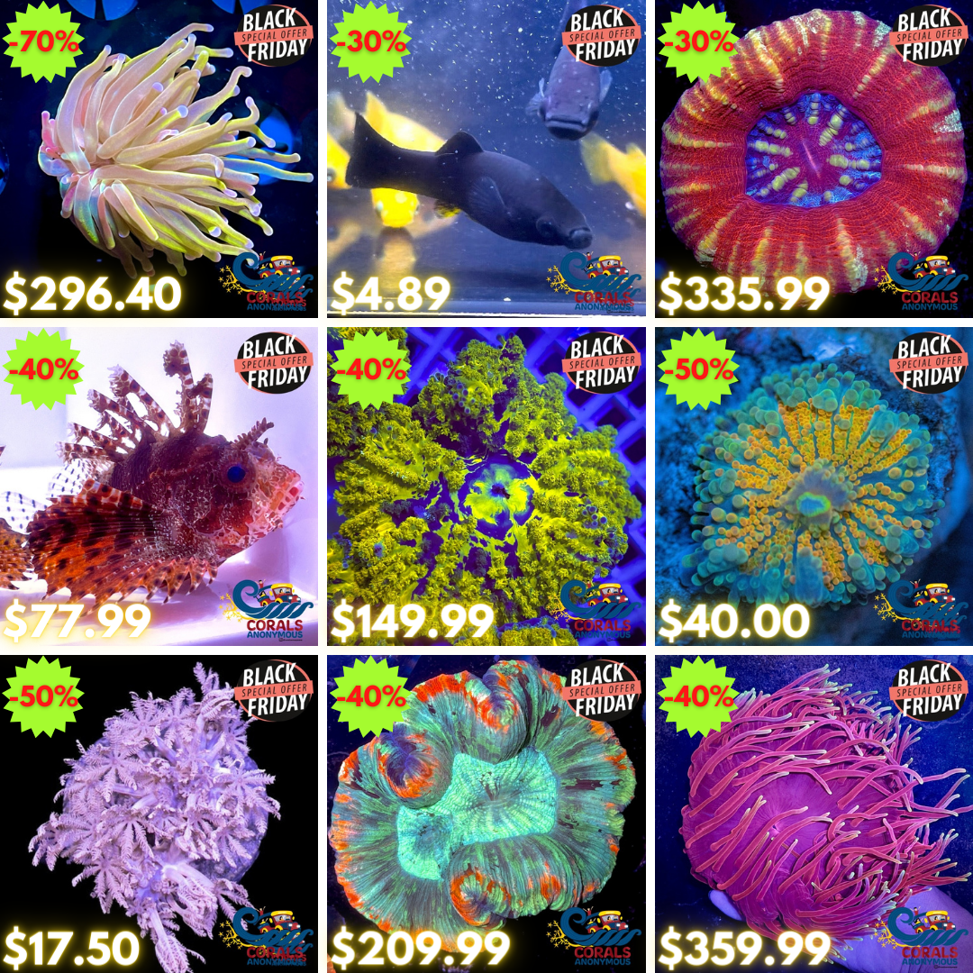 BLACK FRIDAY REEF2REEF (3).png