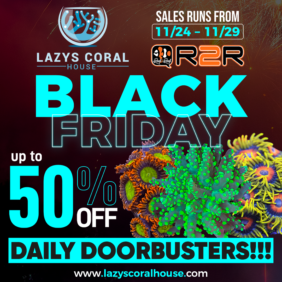 BLACK FRIDAY Social Media Post Square 1080 x 1080.png