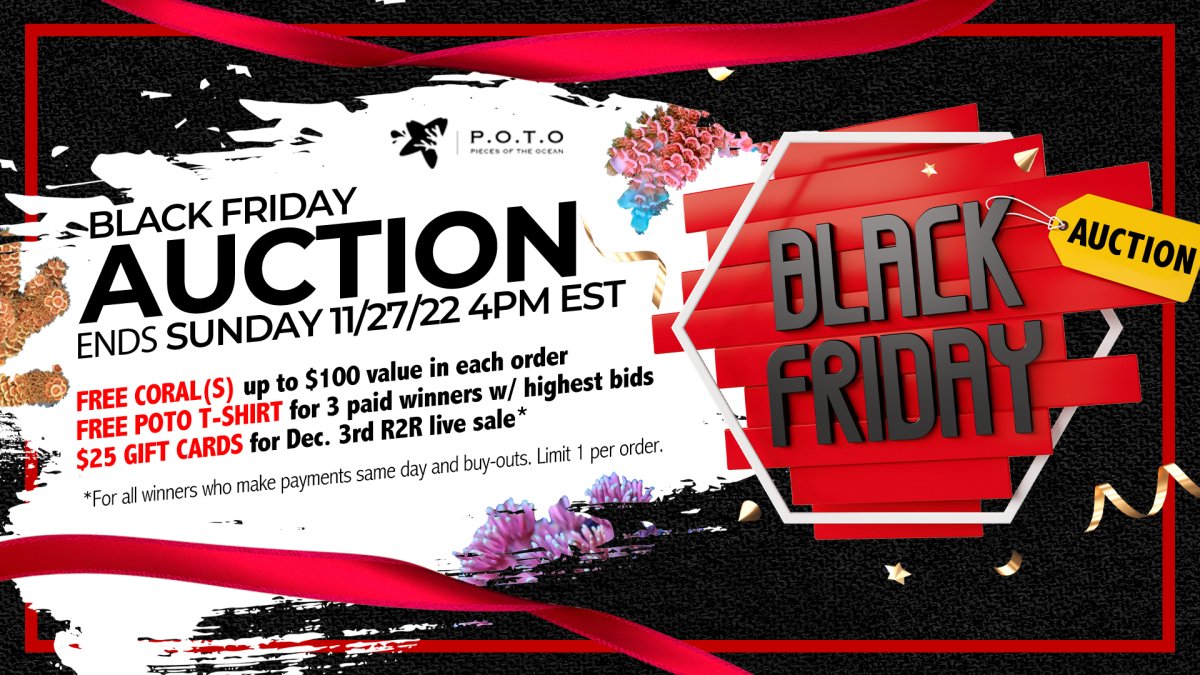 black-friday2022-auction.jpg