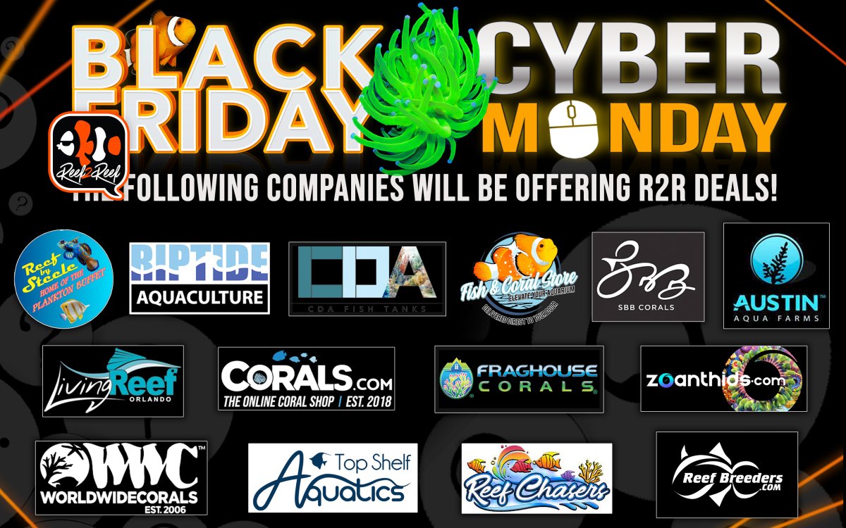 BLCK FRIDAY CYBER 2023 AD2 logos copy.jpg