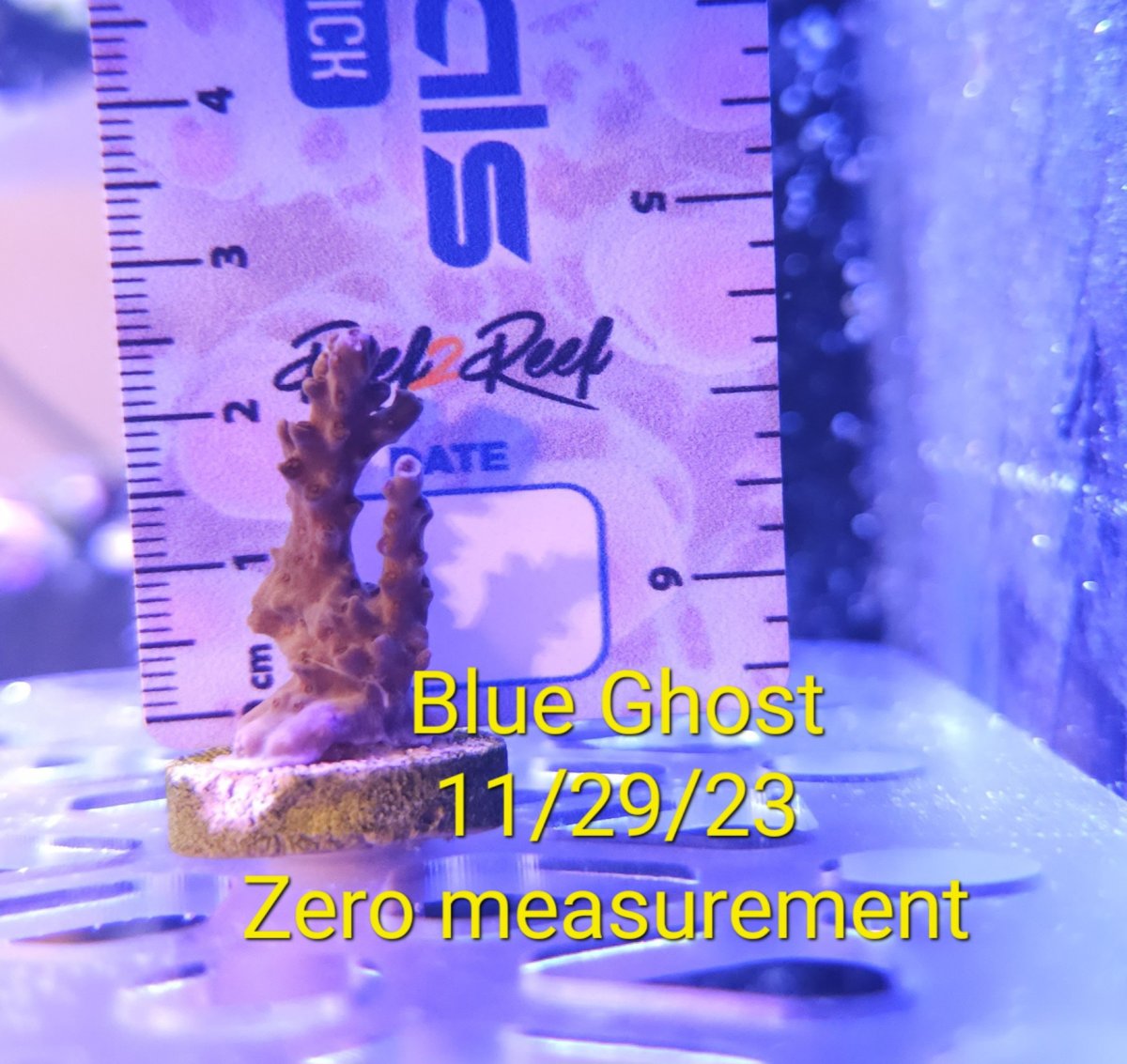 Blue Ghost zero.jpg