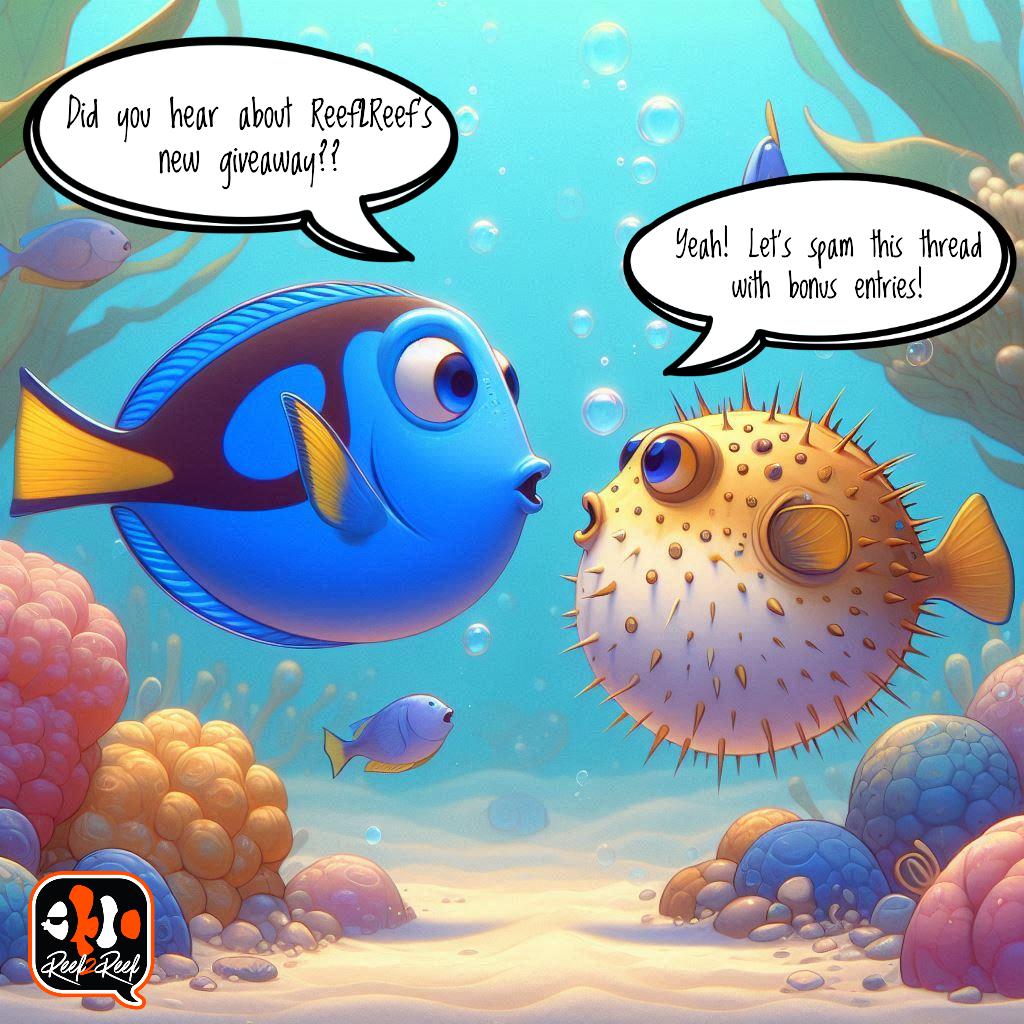 blue tang and pufferfish talking animation without comment box.jpeg