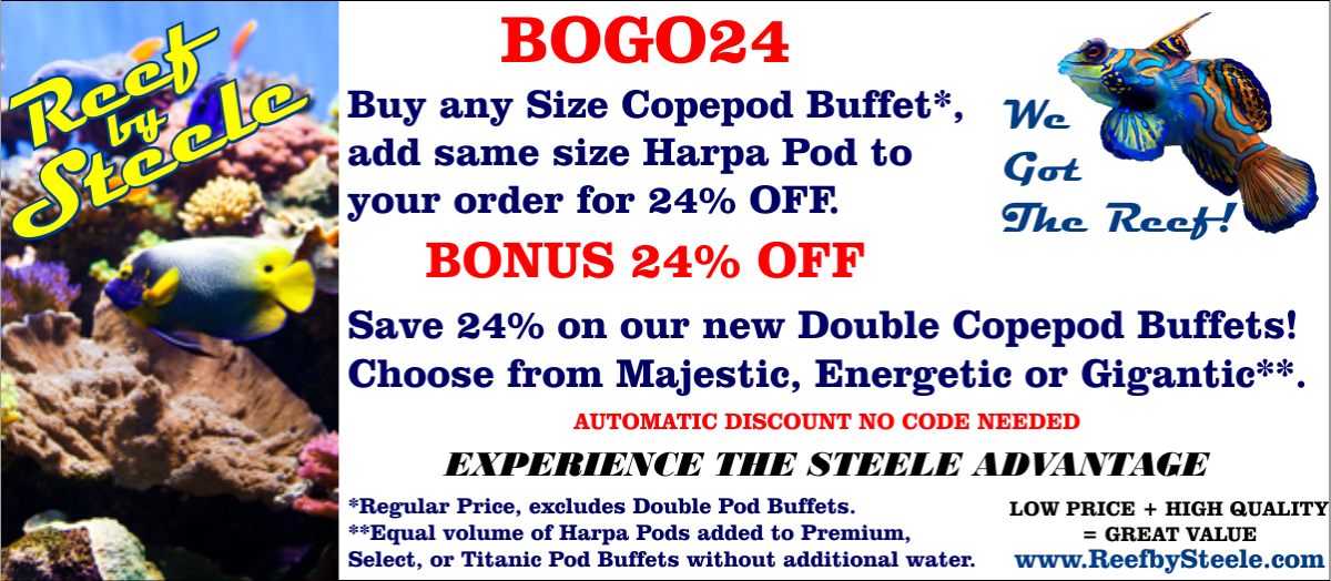 BOGO24 THREAD.png