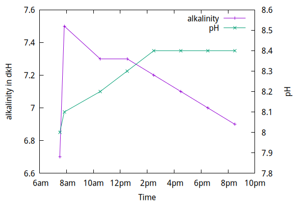 bolus.png