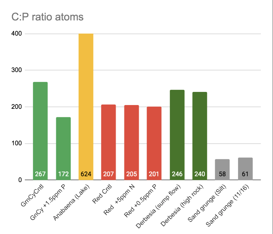 C_P ratio.png